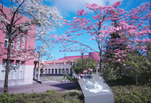 新潟産業大学