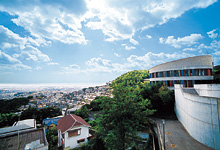 宝塚大学