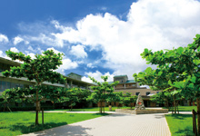 名桜大学