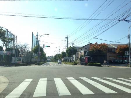 自然豊かな住宅地