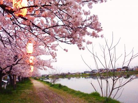 自然が豊かな松伏町