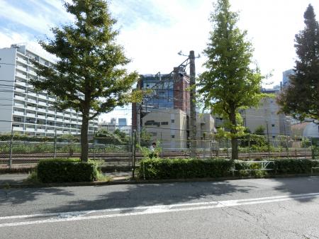 山手線の線路