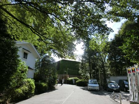 東郷神社
